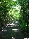 San Patricio Forest - GUAYNABO